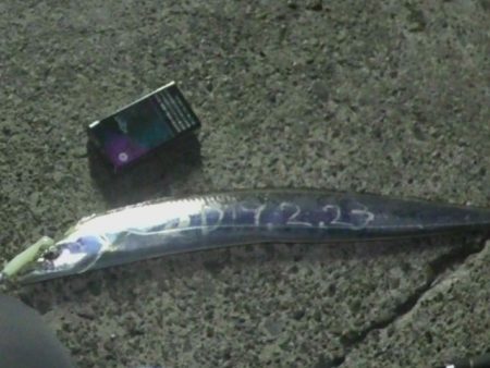 太刀魚ぼちぼち